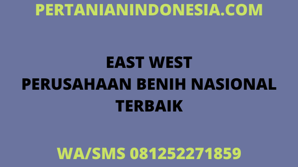 EAST WEST PERUSAHAAN BENIH NASIONAL INDONESIA TERBAIK